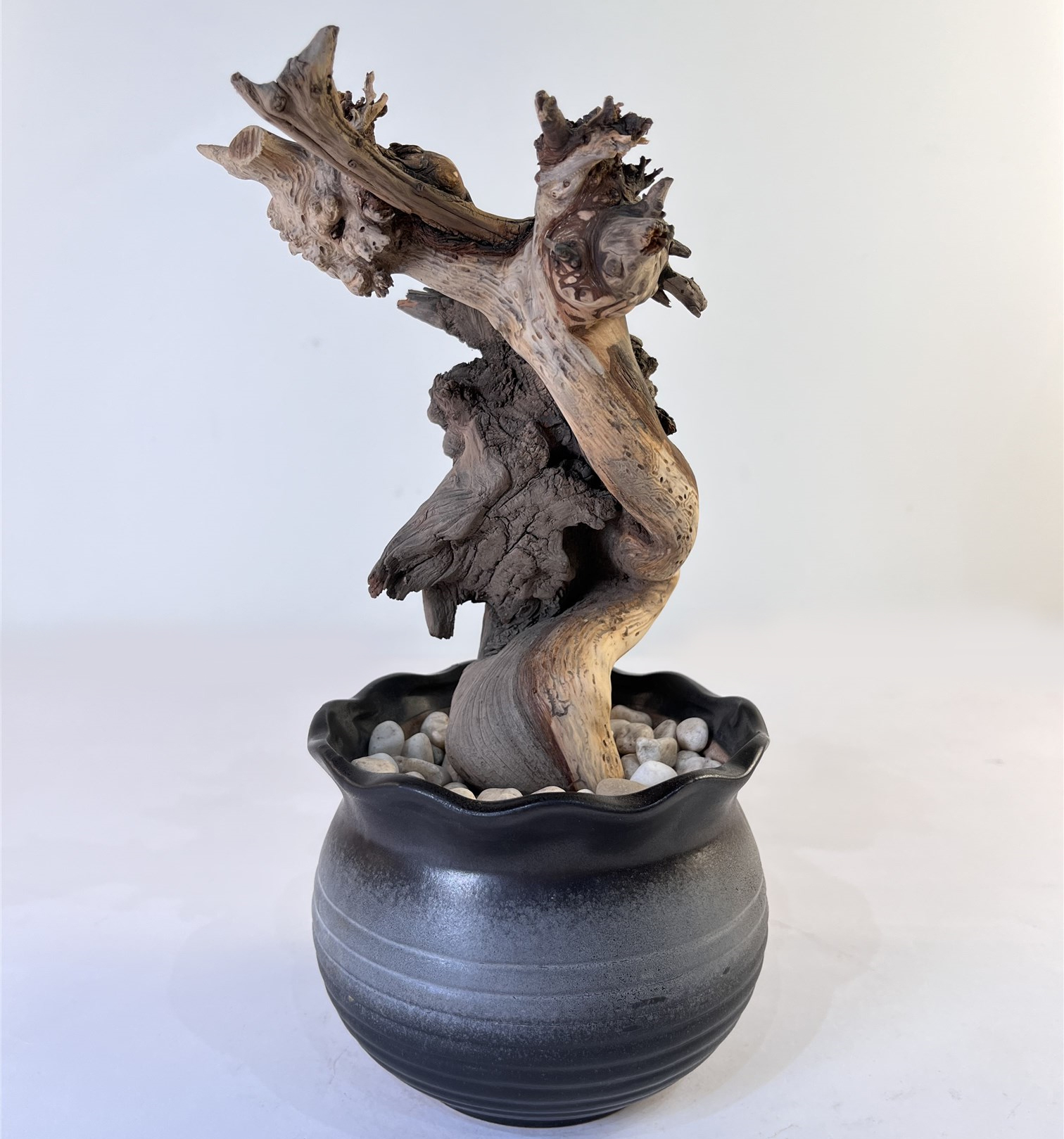 天然崖柏雙色樹(shù)根