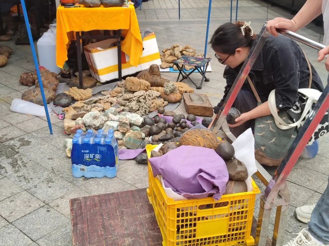 廣州花地灣2023第三屆觀賞石博覽會圓滿落幕！