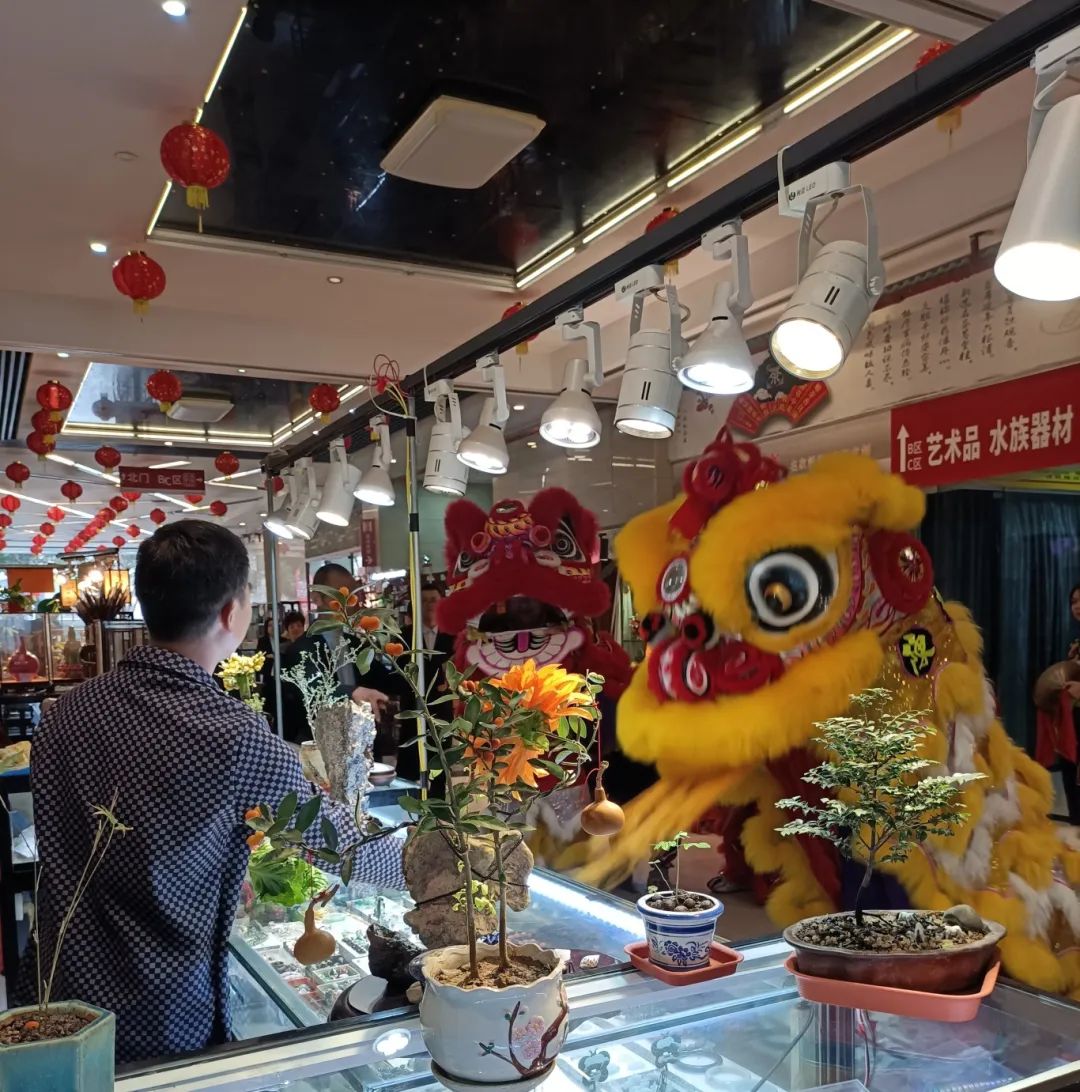 花地灣古玩城醒獅旺場(chǎng)，財(cái)?shù)?、福到~