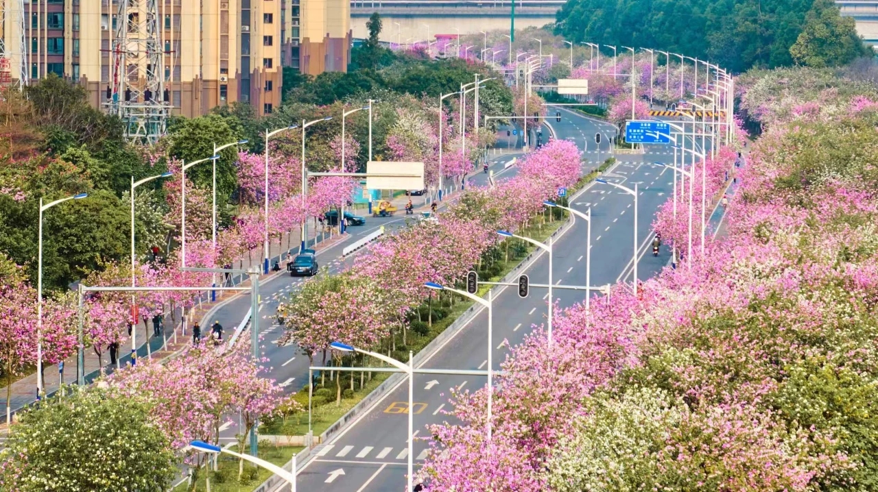 花地灣