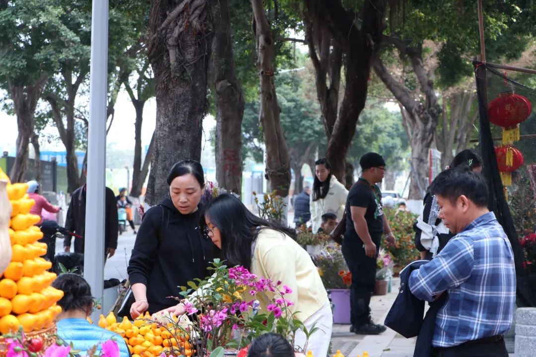 蛇年逛花市，巳巳皆如意，花地灣古玩城迎春花市GO GO GO→